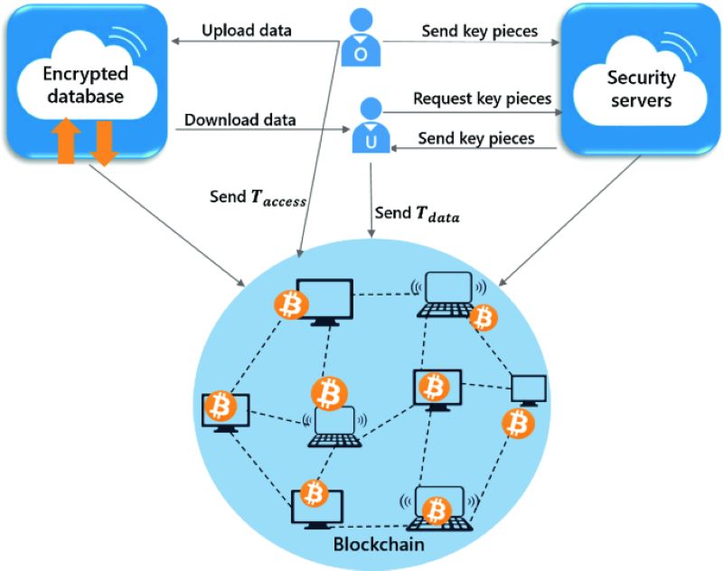 How Blockchain Consensus Algorithms Fuel Trust