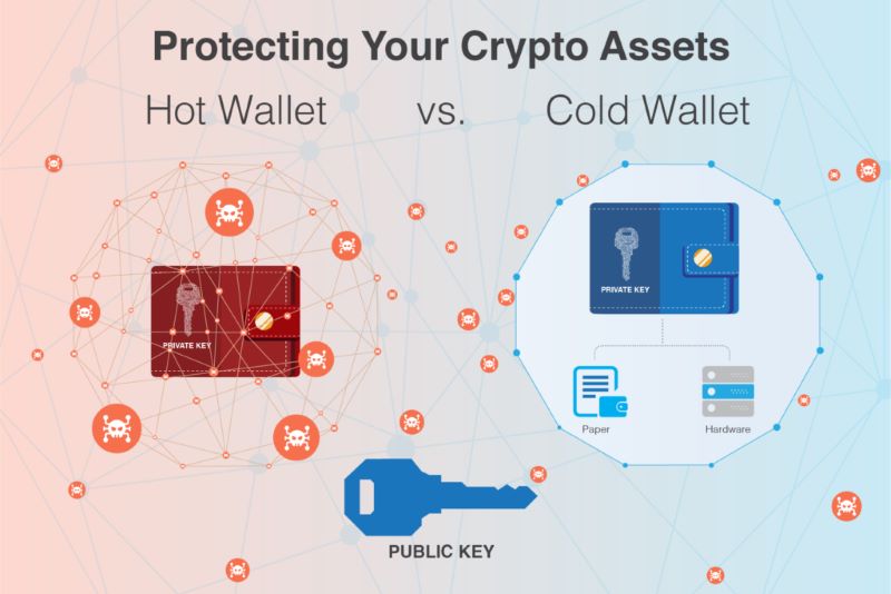 Hot Wallet and Cold Wallet 