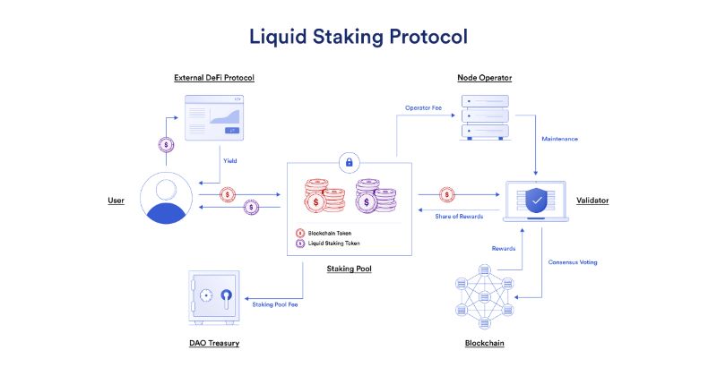 Liquid Staking in Crypto