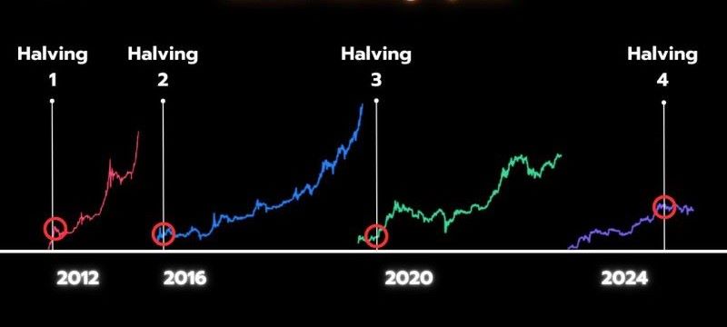 Bitcoin Halving Cycle